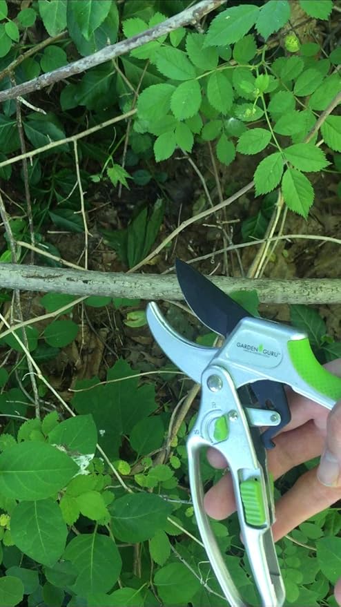GARDEN GURU 2 in 1 Ratchet Pruning Shears Clippers – 4X Cutting Power – Ratcheting Garden Anvil Pruners Scissors - Ergonomic Grip - Makes Tough Cuts Easy - Great for Seniors & Arthritic Hands