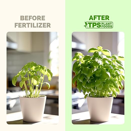 Basil Fertilizer – Liquid Plant Food for More Leaves, Fuller Plants & Fast Regrowth, 8 oz