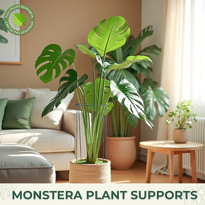 LEOBRO Plant Support, 8 PCS Peony Cages and Supports, Metal Plant Stakes, Plant Supports for Indoor Plants, Outdoor Plants, Monstera Hydrangea Support Cage, 10" W x 24" H
