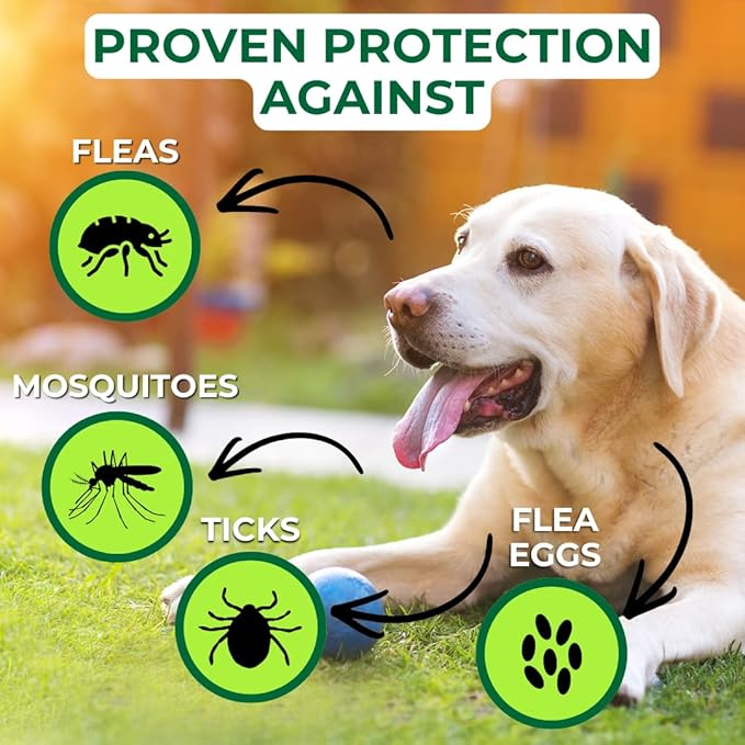 Nature’s Dome Peppermint Flea and Tick Spray 16 Oz | Non Toxic, Plant-Based Pest Control Peppermint Oil Spray for Mosquitos, Larvae & Eggs | Indoor and Outdoor Use | Safe for Pets & Kids