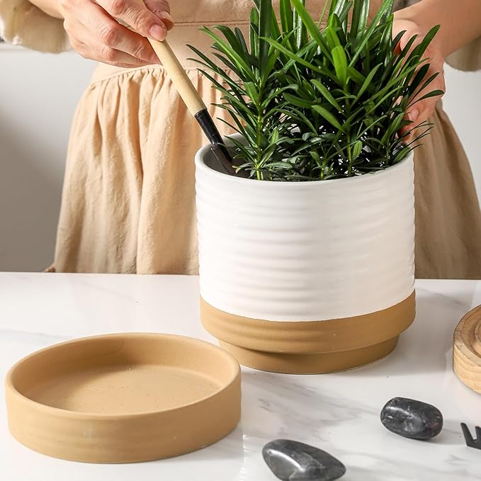 HASENSE Ceramic Plant Pot with Saucer, 6 Inch Planter for Indoor Plants with Drainage Hole, Two-Tone Design White Flower Pot for Succulents, Snake Plants & Cactus, Modern Farmhouse Decor Gift,1 Pcs
