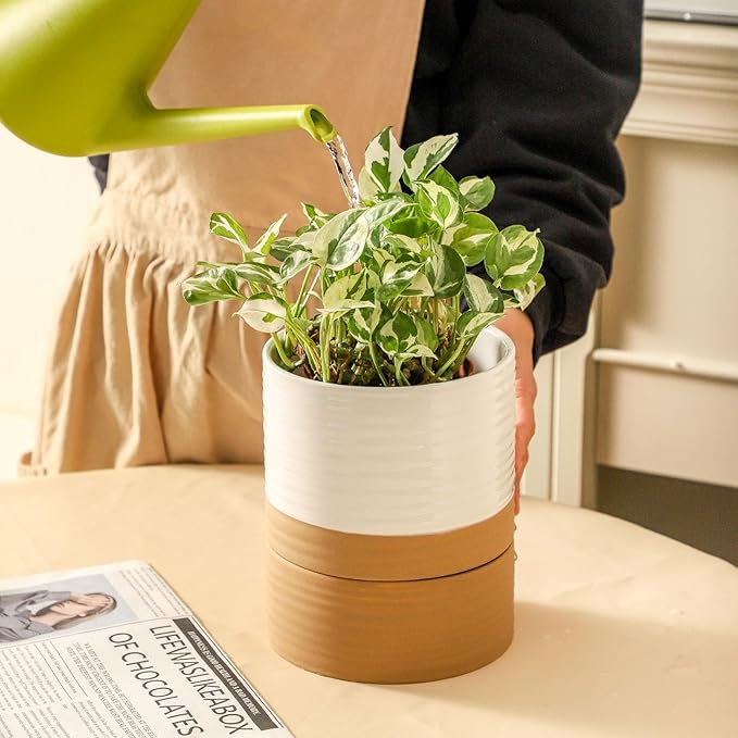 HASENSE Ceramic Plant Pot with Saucer, 6 Inch Planter White Flower Pot for Succulents,for Indoor Plants with Drainage Hole, Snake Plants & Cactus, Modern Decor Gift for Mom