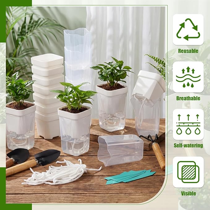 30 Pack 2.5" Small Self Watering Pots for Indoor Plants Clear Mini Self Watering Plant Pot with Water Level, Drainage Holes 30 Plastic Label 3 Planting Tools, Rope for Propagation Succulents