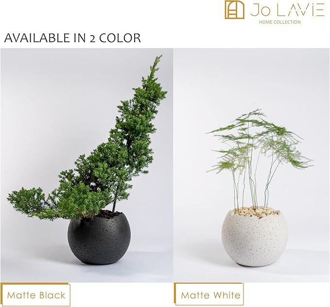 6 Inch Modern Minimalist Resin Planters with Drainage Hole, Charcoal Gray Indoor Outdoor Flower Pots for Succulents, Herbs, Orchids & Small Plants - Charcoal Gray