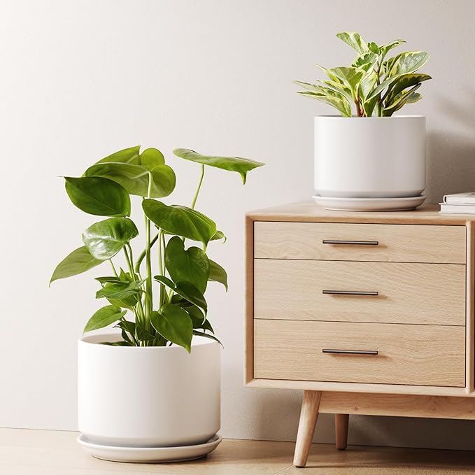 LE TAUCI Ceramic Plant Pots, Set of 2, 8+10 Inch Plant Pots Indoor with Drainage Hole & Saucer, Sturdy Planters for Indoor Plants, Modern Minimalist Decor for Snake Plant, Monstera, White