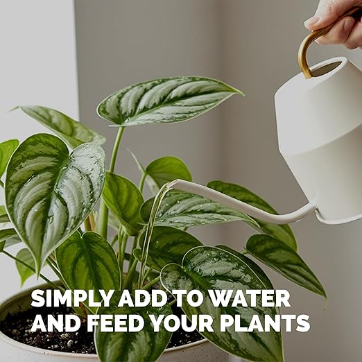 Tropical Plant Fertilizer – Liquid Plant Food for Bigger Leaves, Lush Growth & Stronger Roots, 32 oz