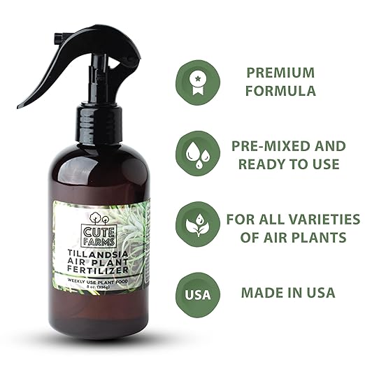 Cute Farms Tillandsia Air Plant Fertilizer | Gentle Weekly Use Formula Plant Food | Formulated Nutrients for Air Plants (Two - 8 oz. Spray Bottle)