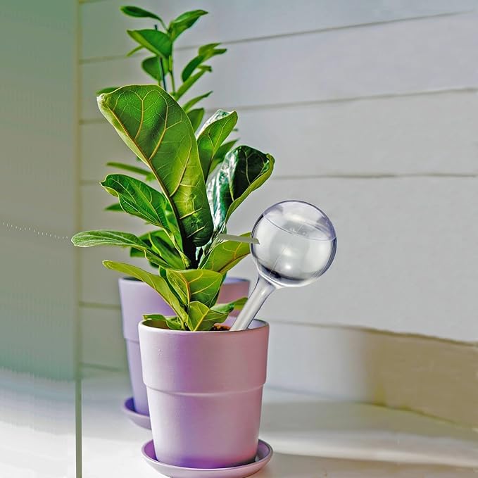 Self Watering Globes for Plants - Automatic Watering Bulbs for Indoor & Outdoor Potted Plants, Vacation Plant Care, Water Conservation Device