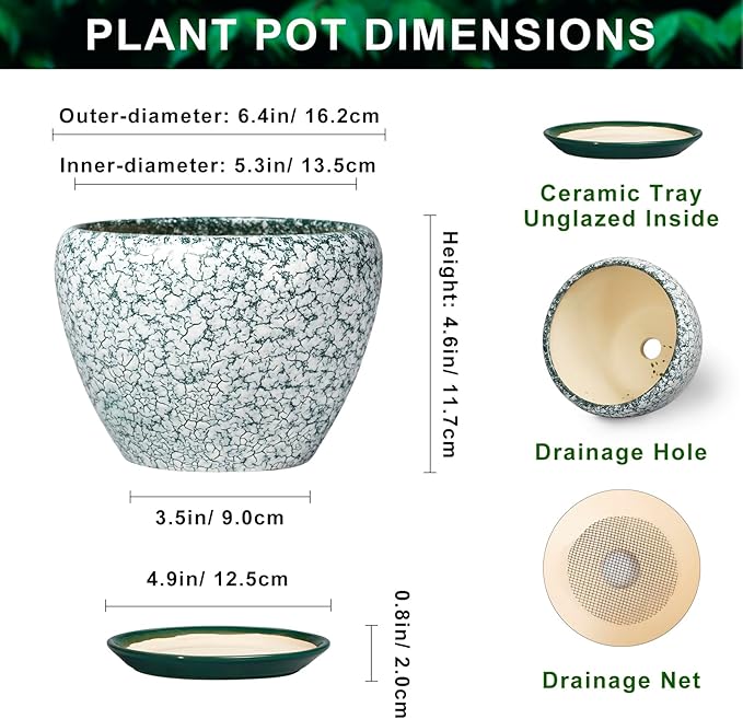 Ceramic Plant Pot - 6 Inch Planters for Indoor Plants, Round Succulent Pots with Drainage Hole and Saucer, Modern Decorative Plant Pots, Bathroom Decor, House Warming Gifts, Crackle Green