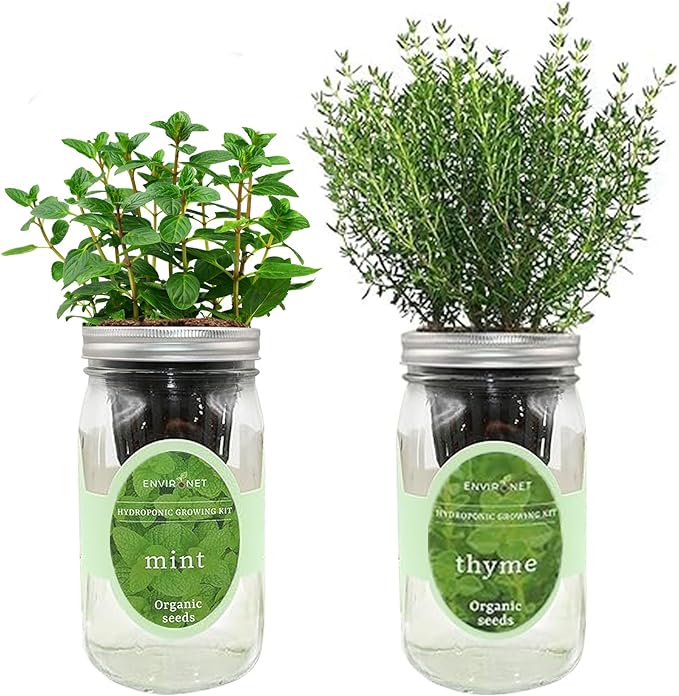 2-Pack Hydroponic Mason Jar Herb Garden Kit, Indoor Herb Garden Self-Watering Starter Kit, New Christmas Gift for Mom (Mint,Thyme)