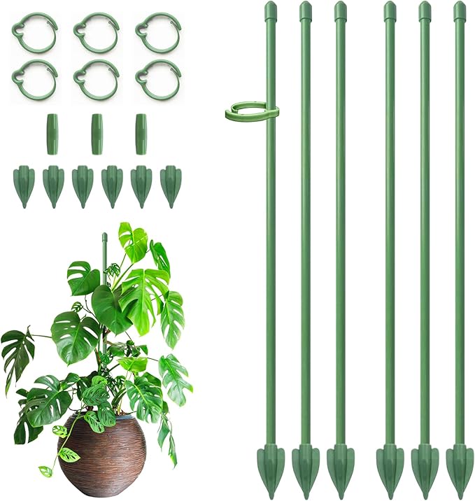 RIFNY Plant Stakes for Indoor Plants, 12 Inch Plant Support Stakes with Clips, Tall Adjustable Plant Sticks for Indoor Monstera Tomato Orchid Potted Plants Flower (6 PCS, Green)