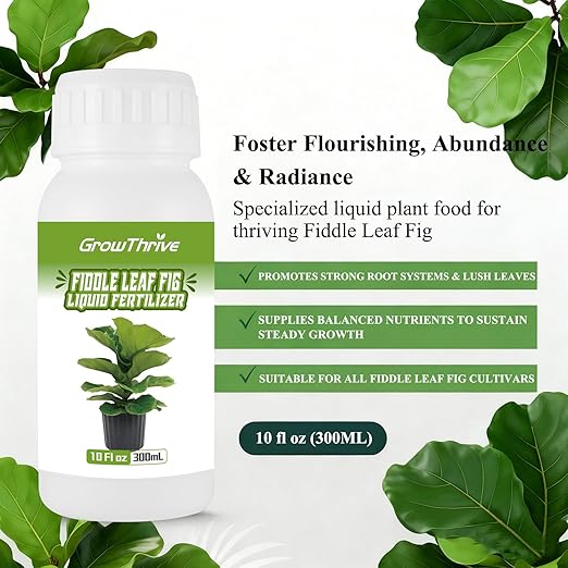 Organic Fiddle Leaf Fig Fertilizer Liquid - 10oz Microbial Probiotic Plant Food for Ficus Lyrata - Promotes Roots & Greener Leaves