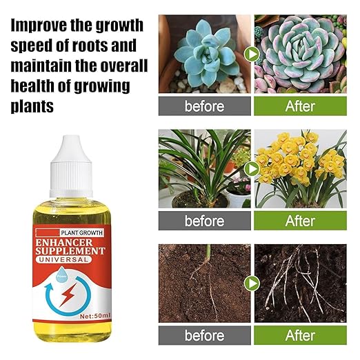 Plant Growth Enhancer Supplement - Rooting Hormone for Cutting Plant, Take Root Rooting Hormone Supplement for Transplant and Rescue The Disease Seedlings, Grow New Plants from Cutting (5pc)
