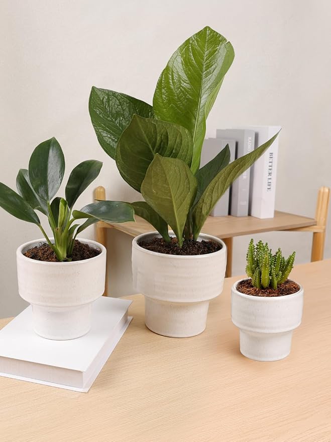 INGOFIN Ceramic Planter Pot Set of 3, 4/5/6 Inch Indoor Decorative Cachepot for Pothos & Succulents, No Drainage Hole, Modern Architectural Plant Display for Contemporary Home Decor, Pockmarks White