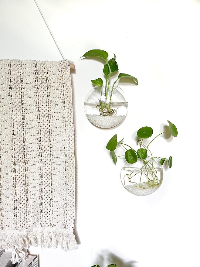 Kingbuy Wall Hanging Glass Planter Propagation Station - 6 Pack Oblate Globe Wall-Mounted Vases for Indoor Hydroponic Air Plants Bathroom Living Room Office Decor Gift for Women, Mom, Plants Lovers