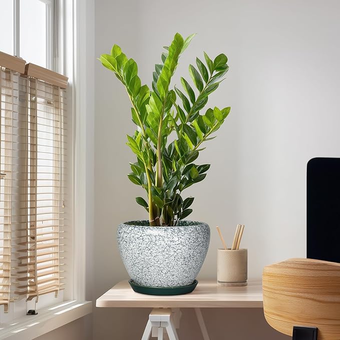 10 Inch Flower Pots Indoor - Ceramic Planter with Drainage Hole and Saucer, Large Flower Pots for Indoor Outdoor Plants, Round Modern Planter, Garden Decor, Plant Lover Gifts, Crackle Green