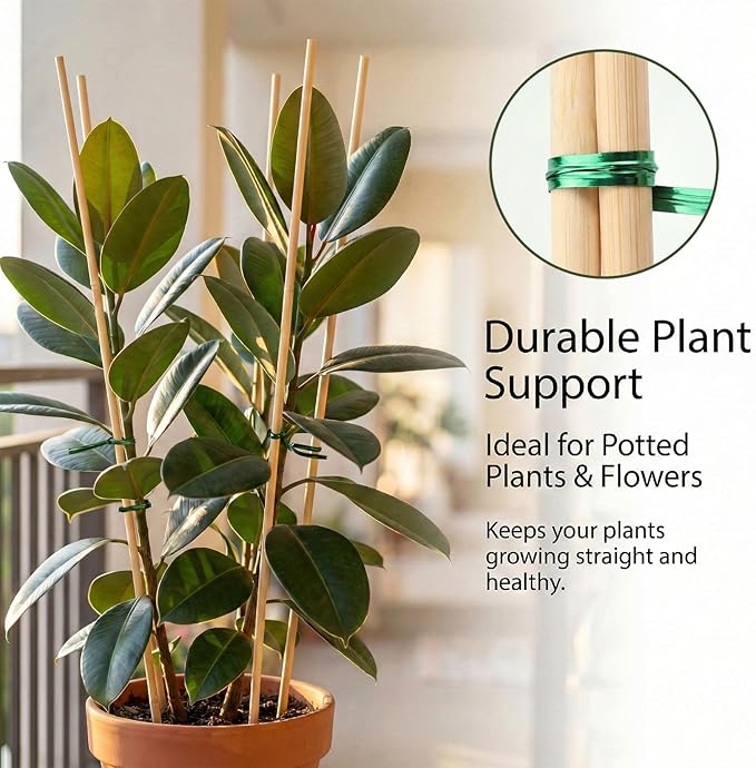 Plant Stakes for Indoor Plants – MAQIHAN 40PCS Plant Support Sticks, 9.8 Inch Stakes for Potted Plants, Orchids & Seedlings, Garden Stake with 30pcs Green Ties