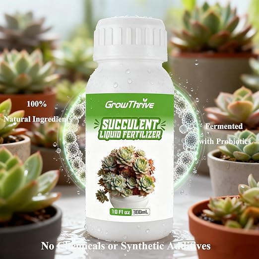 Succulent Liquid Fertilizer 10oz – Organic Plant Food for All Succulents & Cacti, Natural Probiotic Formula, Root & Leaf Growth Booster, Easy to Use 1:400 Concentrate, Odor-Free