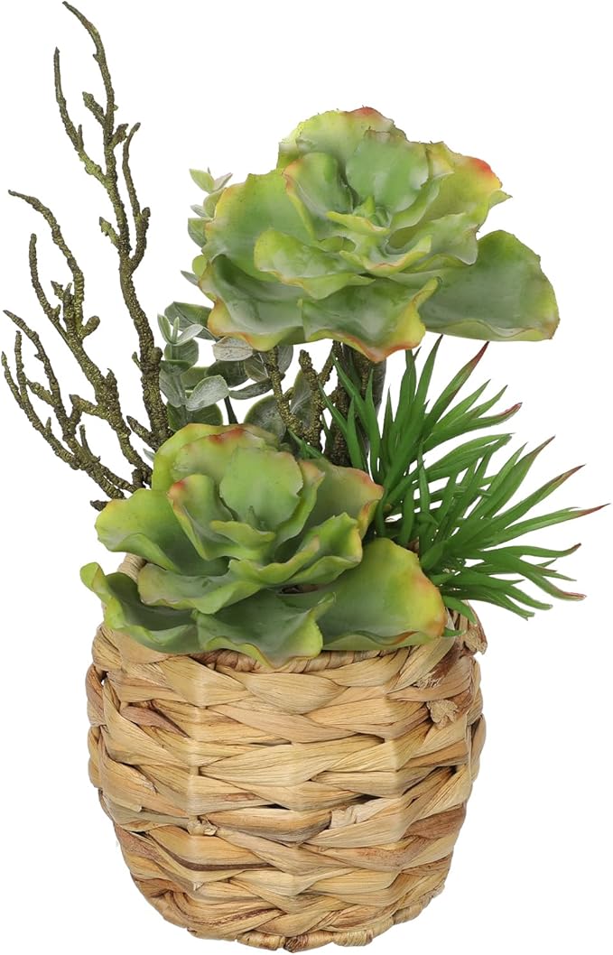 Villa Como 10" Large Succulents Plants Artificial in Wooden Pots, Potted Faux Succulent Arrangement with Woven Pots, Fake Desk Succulents Plants for Home Bathroom Shelf Table Indoor Decor
