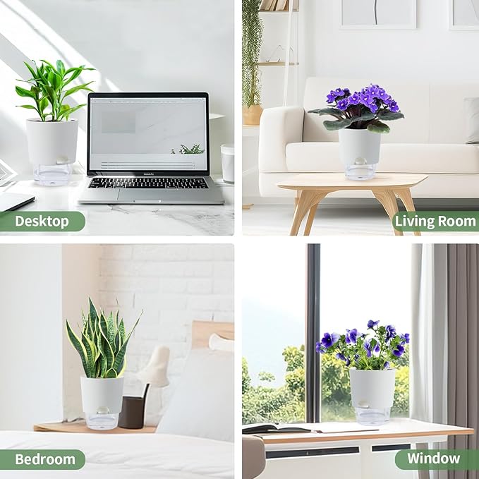 Oliz 6 Inch Self Watering Planter Pots for Indoor Plants, 3 Packs African Violet Pots with Wick Rope and Visible Reservoir Self Watering Planter for Herb, Houseplants