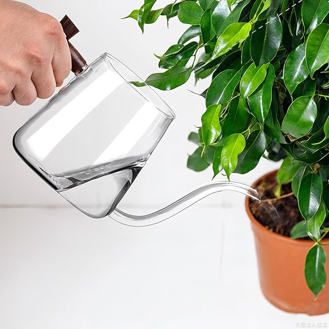 FrutPunch Watering Can Indoor Plants, 27 OZ Glass Watering Can, Long Curved Spout, Suitable for Indoor Plants, Bonsai Garden Flower Decoration