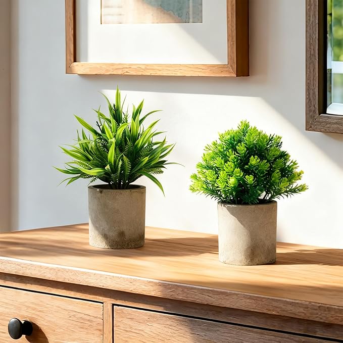 AUUGUU Artificial Potted Plants Set of 5, Realistic Faux Greenery in Cement Pots for Home Office Desk Bookshelf Decor, Small Fake Plants for Indoor Tabletop Decoration