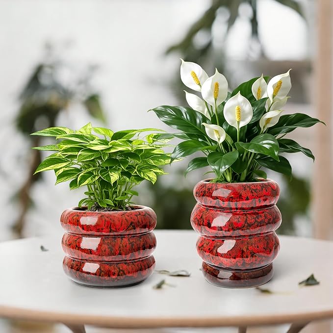 Ceramic 5 inch Plant Pot - Planter for Indoor Plants with Drainage Hole, Flower Pots for Orchid, Succulent,Outdoor Plants, Modern Glaze Planters for Home Office Decor Gift