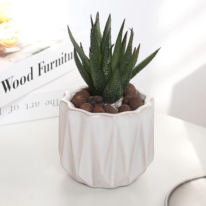 Plant Pot 4 Inch Ceramic Pots, Set of 2 Flower Pots Crackle Glaze Small Planters Pots with Drainage Hole and Mesh Pads for Indoor Outdoor Garden Pots Succulent, Cactus, Herbs (White)