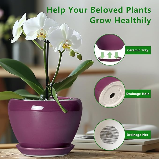 Ceramicfor Ceramic Planter - 8 Inch Plant Pot Indoor with Drainage Hole and Saucer, Glaze Decorative Planter, Round Flower Pot, Plant Lover Gifts, Home Garden Office Decor, Purple