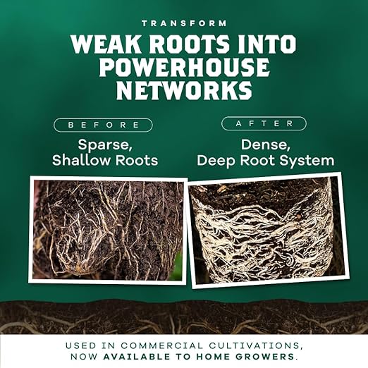 DYNOMYCO Granular Mycorrhizal Fungi Inoculant, 50g / 1.76oz – Boosts Root Growth, Yields & Nutrient Uptake – 900 Propagules/g, Concentrated Granules, & OMRI Listed – Biofertilizer for Plant Growth