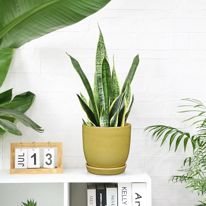 GnFlus Ceramic Plant Pots 5 Inch + 4 Inch Set of 2, Flower Plants Pot with Drainage Holes and Saucers Tray Planter Garden Pot for Succulent Cactus Home Decoration Gift Indoor Outdoor Green