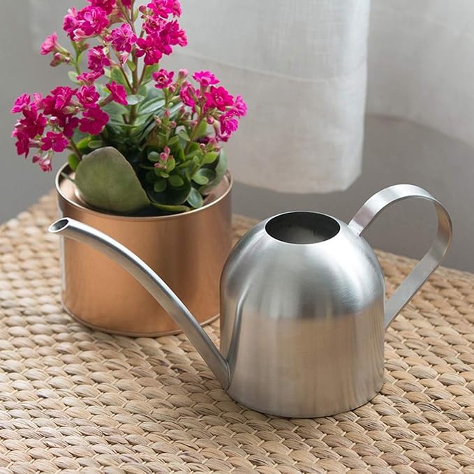 Small Watering Can for Indoor Plants, 15oz/450ml Stainless Steel Long Spout Watering Can for Succulents, Herbs (Silver)
