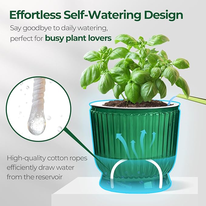 T4U 6 Inch Self Watering Pots for Indoor Plants, 4 Pack Self Watering Planter, Self Watering Pot with Reservoir, Small Self Watering Pots for Plants, African Violets (4 Pack, 6", Translucent Green)