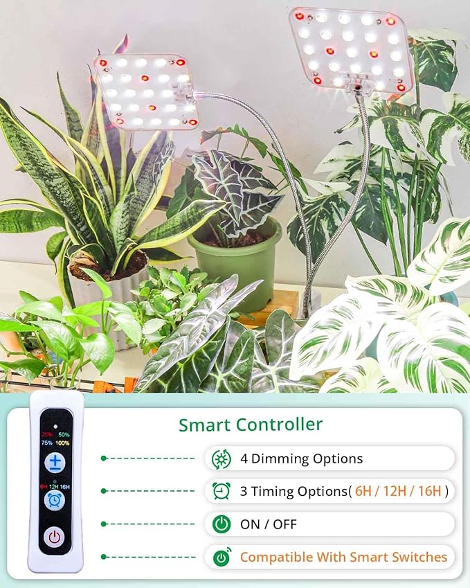 DOMMIA Plant Light, Dimmable Desk Clip on Plant Light for Indoor Plants with 6/12/16h Timer, Gooseneck Grow Lamps, Full Spectrum for Seeding, Succulent, Potted Plants, 2-Head