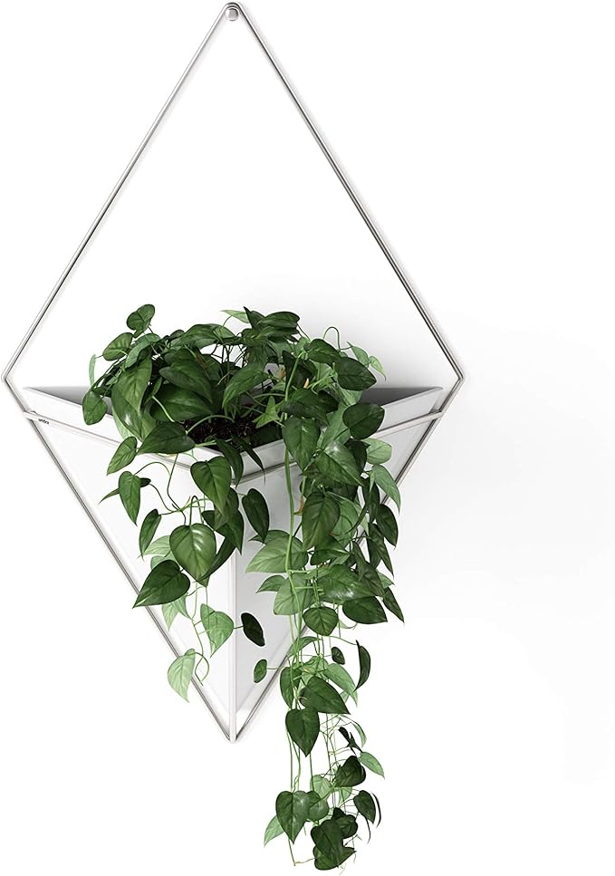 Umbra Trigg Hanging Planter Vase Wall Decor, Pot and Container for Succulents, Cactus, Faux Plants, and More, Large, White/Nickel