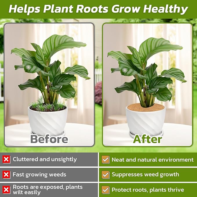 Legigo 20pcs Coconut Fiber Mulch Ring Tree Plant Protector Mat, 11.8 Inch Natural Coco Coir Tree Mulch Ring Plant Pot Soil Cover, Tree Rings Disc Plant Cover for Indoor Outdoor Plants, Landscaping