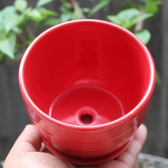 Cute Circular Ceramic Home Garden Decoration Succulent Cactus Flower Pots Container -Plant Not Included (White, 4.13 Inch)