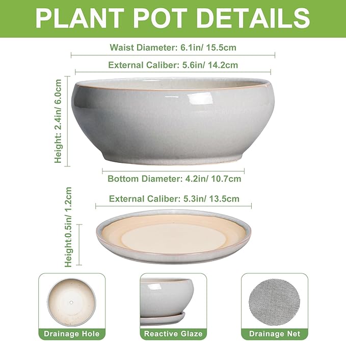 SQOWL Succulent Planters 6 Inch - Ceramic Bonsai Pots with Drainage Hole and Saucer, Shallow Planter for Indoor Plants Outdoor, Round Ceramic Pots for Plants Cactus, Room Decor, Garden Gifts, Gray