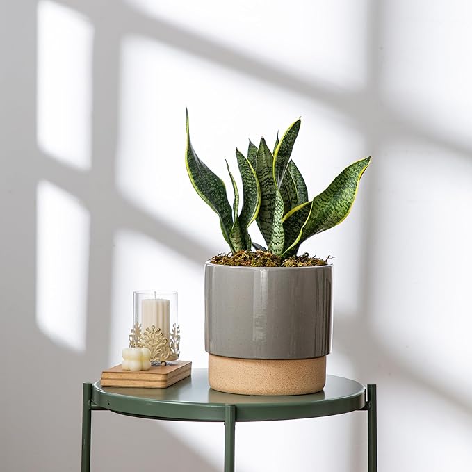 Self Watering Ceramic Planter: 8 Inch Plant Pot with Drainage Hole & Water Storage Plus for Outdoor & Indoor Plants, Succulents, Herbs - Flower Pot for Home or Office Decor - Dark Grey