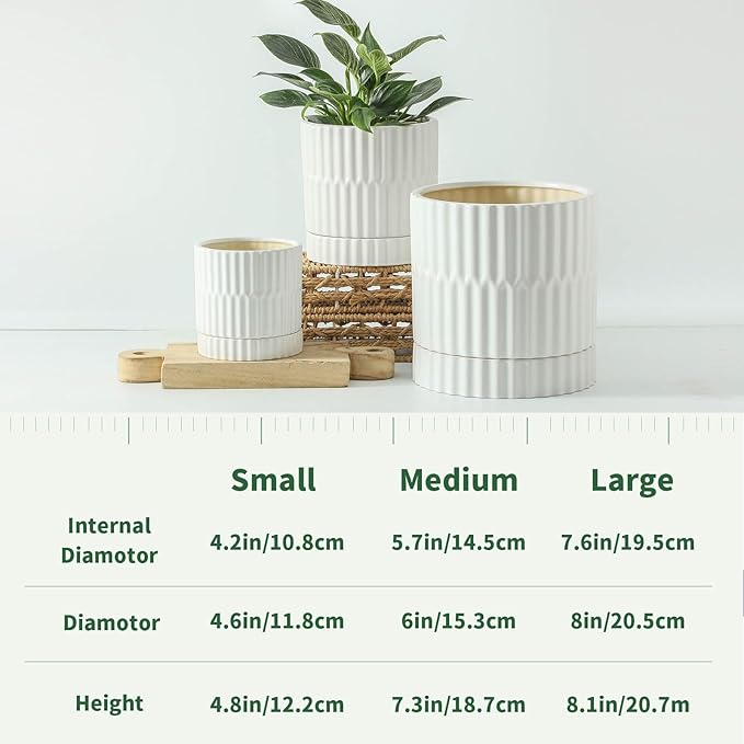 HASENSE Ceramic Plant Pots Set of 3, 8/6/4.6 Inch Cylinder Flower Planters with Drainage Saucers, Vertical Ribbed Modern White for Home Office & Outdoor Plants