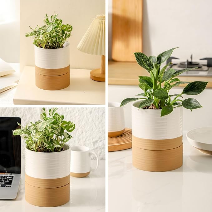 HASENSE Ceramic Plant Pot with Saucer, 6 Inch Planter White Flower Pot for Succulents,for Indoor Plants with Drainage Hole, Snake Plants & Cactus, Modern Decor Gift for Mom