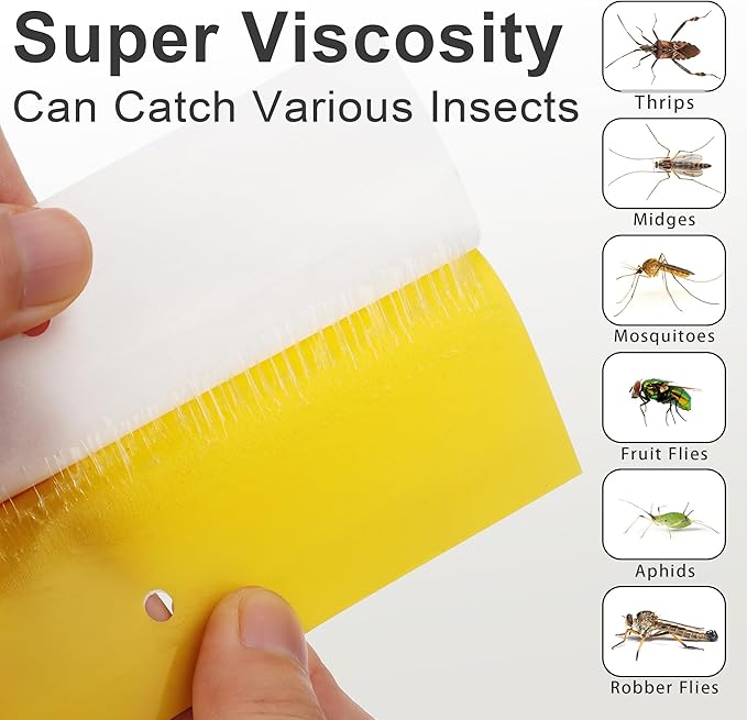 Landisun Fruit-Fly Sticky-Trap Outdoor Indoor Yellow Sticky Insect Traps Bug-Killer Catcher NonToxic and Odorless Dual Sided Twist Ties Included