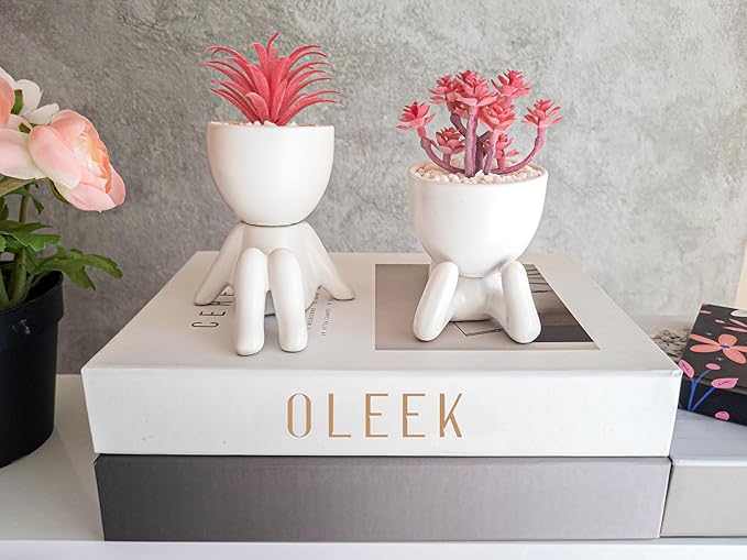 Small Fake Plant Office Decor for Women - Pink Gifts for Women - Cute Office Decor - Pink Decor for Office Decorations - Succulents Fake Plants for Shelf Decor - Office Supplies