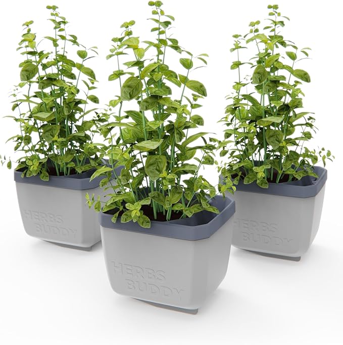 BUZZY Seeds Herb Buddy Self-Watering Herb Planter with Water Level Indicator – Indoor Kitchen & Windowsill Planter (Grey)
