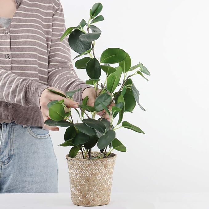 SAROSORA Artificial Ficus Tree Small Fake Plants in Weaved Pot 20" Height for Living Room Desktop Decor Indoor Home Office Ins Style (Green, 1)
