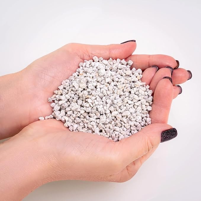 Premium Organic Perlite - (Made in Ukraine) Horticultural Soil Amendment for Indoor & Outdoor Container Plants for Drainage Management and Enhanced Growth - 2 Quart