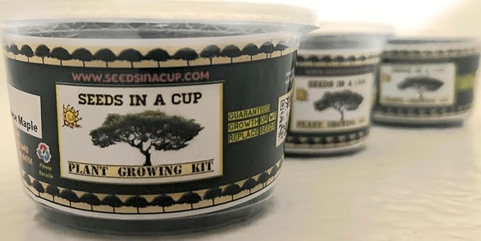 Herb Growing Kit | Indoor Herb Garden Starter | Premium Seeds and Soil | 3 Pack of Herbs | Multiple Combinations Available | (Salad Trio: Arugula Spinach Radish)