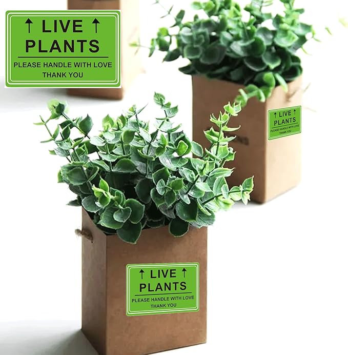 Green Live Plants Stickers for Shipping 2x3 inch Please Handle with Love Stickers Fragile Shipping Labels for Warehouse Pallet Garden Centers,Landscaping,Nurseries 250pcs Live Plants Sticker per roll
