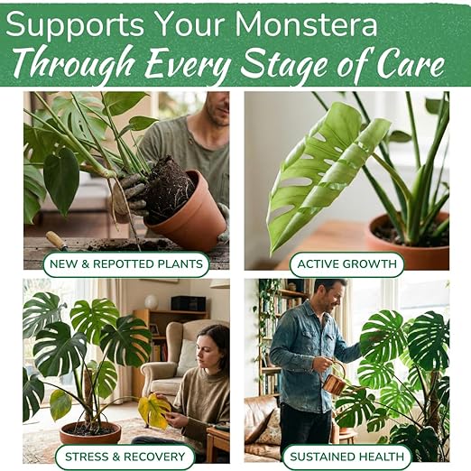 Monstera Plant Food - Premium Nutrient Rich Liquid Fertilizer (5-2-3 NPK) for Monstera Deliciosa & Other Tropical Plants | Supports Strong Roots & Large, Lush Leaves | Safe, Gentle, Easy-to-Use | 8 oz