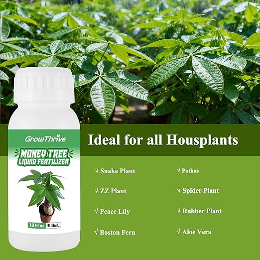 10 oz Organic Money Tree Fertilizer Liquid - Microbial Probiotic Plant Food for Pachira Aquatica & Houseplants - Promotes Root Growth & Green Leaves